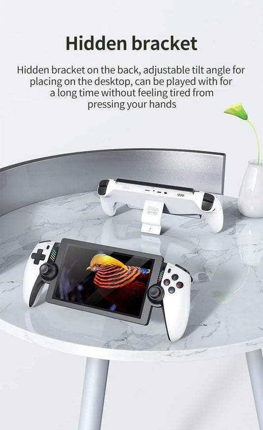 PP2 Gaming Console