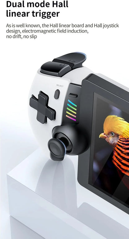 PP2 Gaming Console