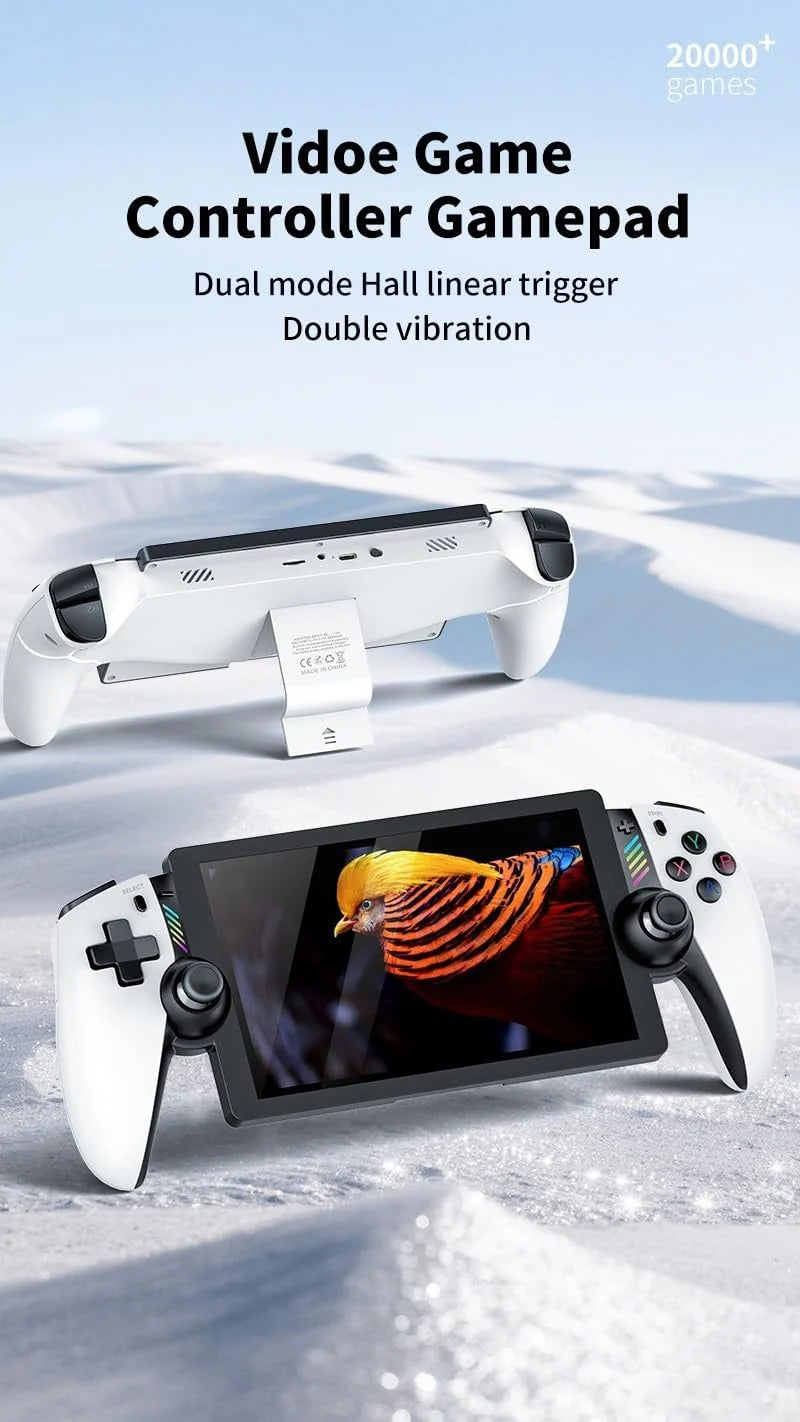 PP2 Gaming Console