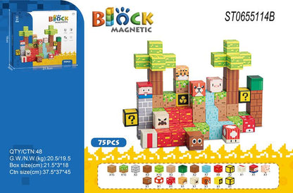 Magnetic Block Building Set